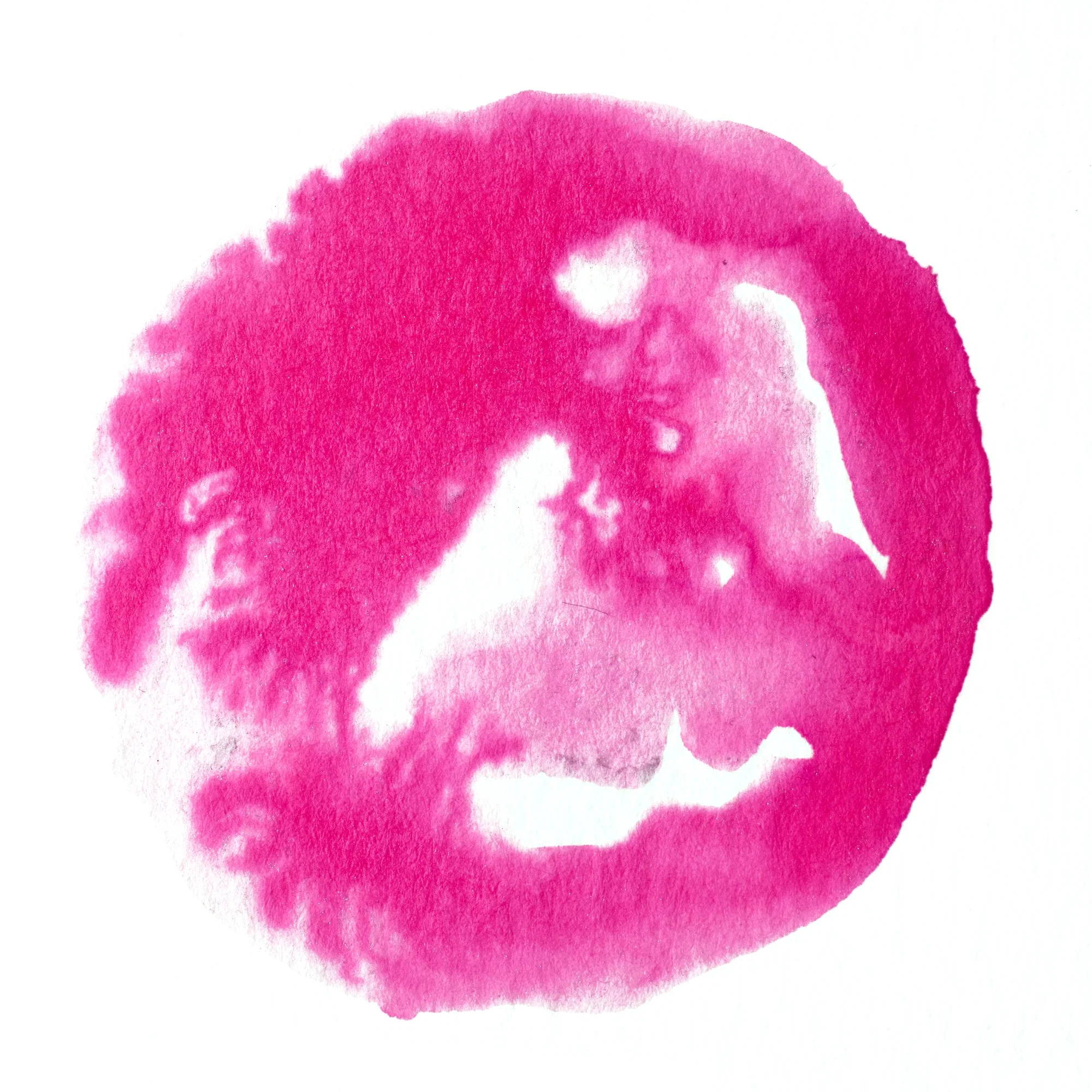 Drawing Ink - Carmine - Image 3