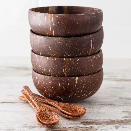 Coconut Bowls