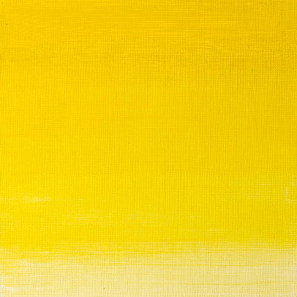 Artists’ Oil Colour – Winsor Yellow