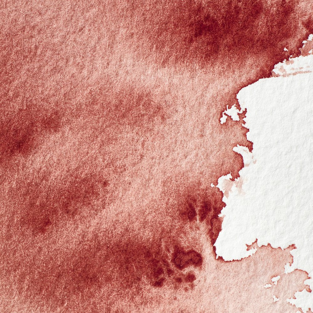 Professional Watercolour – Brown Madder