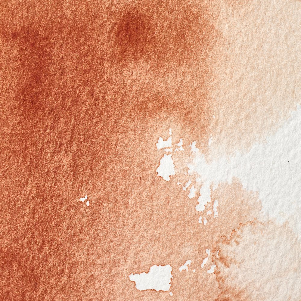 Professional Watercolour – Burnt Sienna
