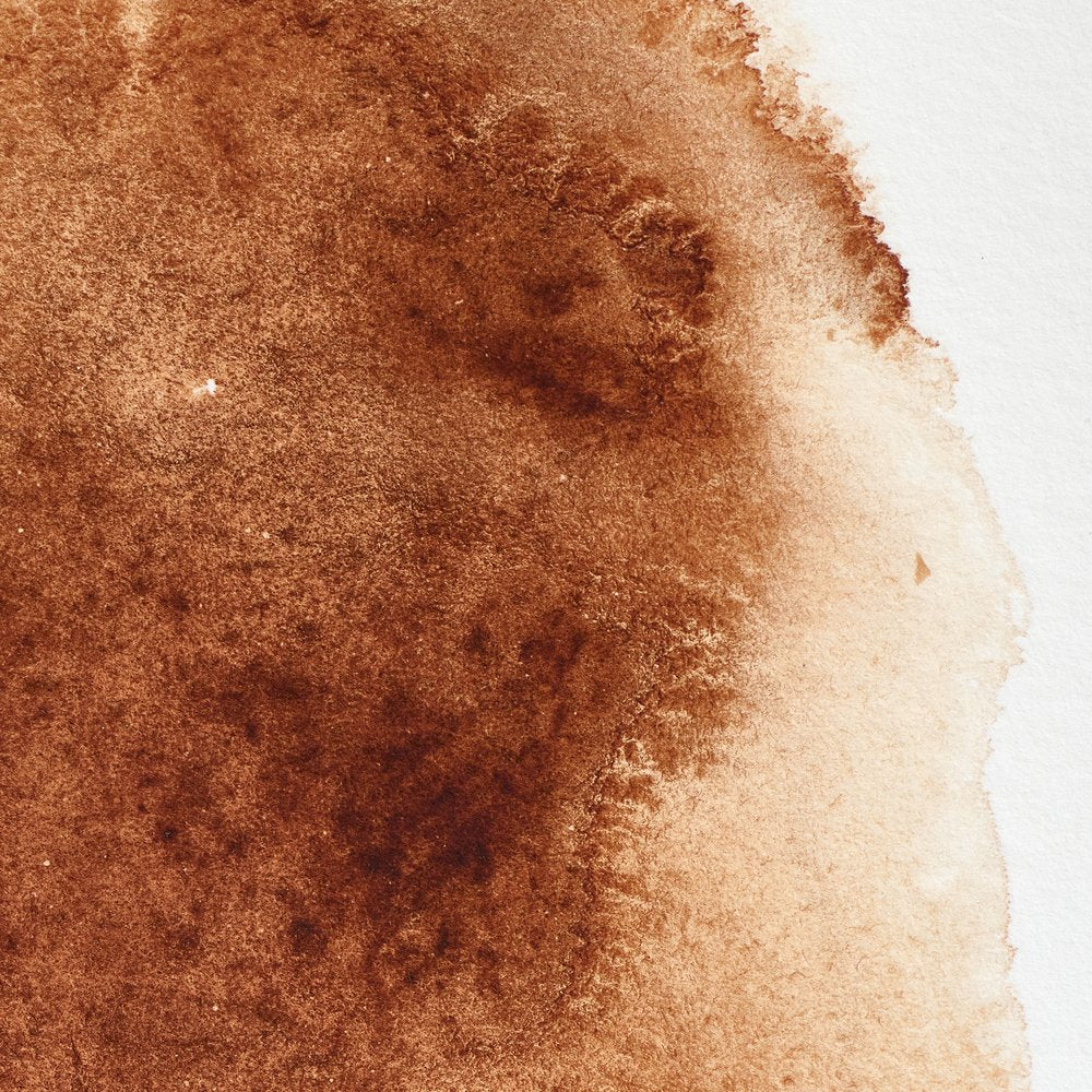Professional Watercolour – Burnt Umber