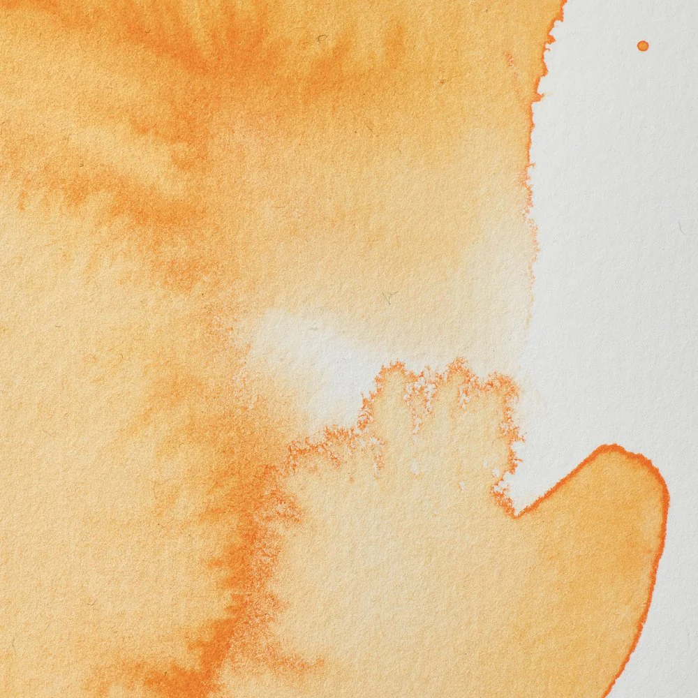 Professional Watercolour – Cadmium Orange