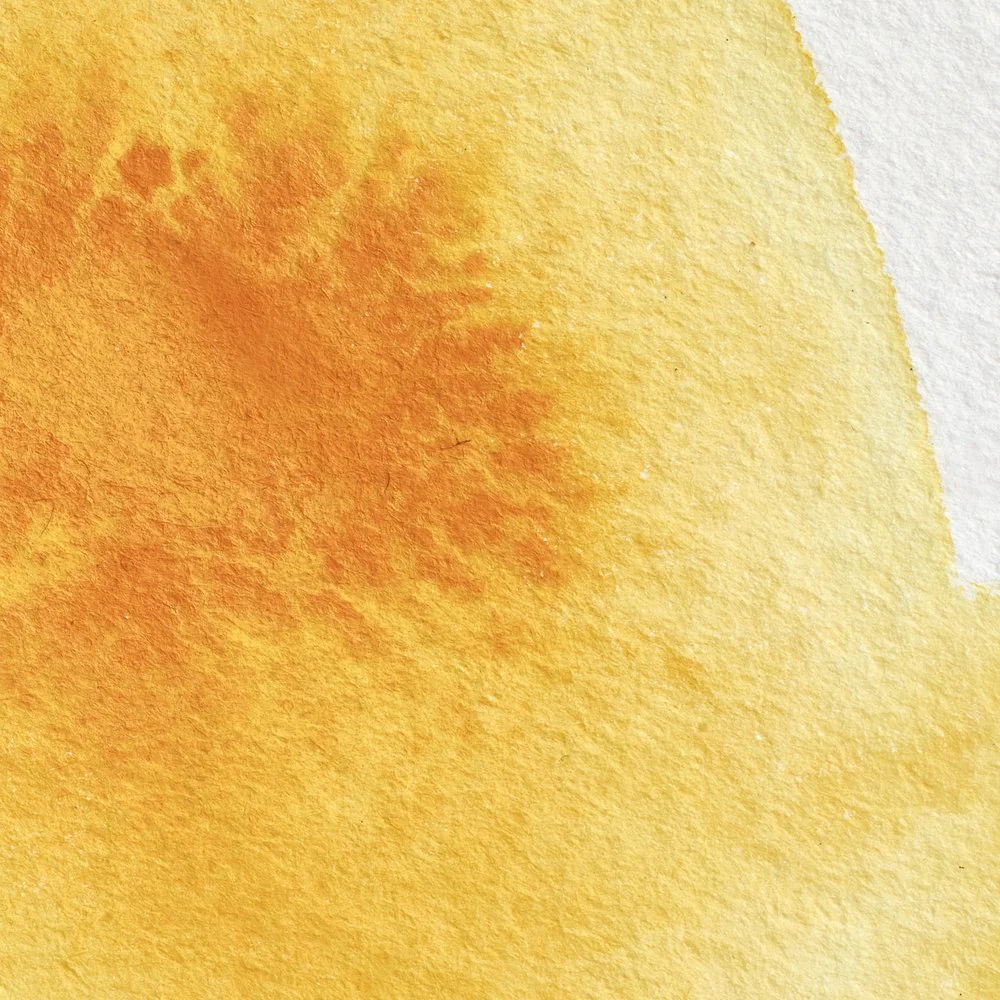 Professional Watercolour – Cadmium Yellow Deep
