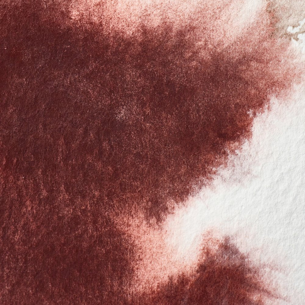 Professional Watercolour – Caput Mortuum Violet