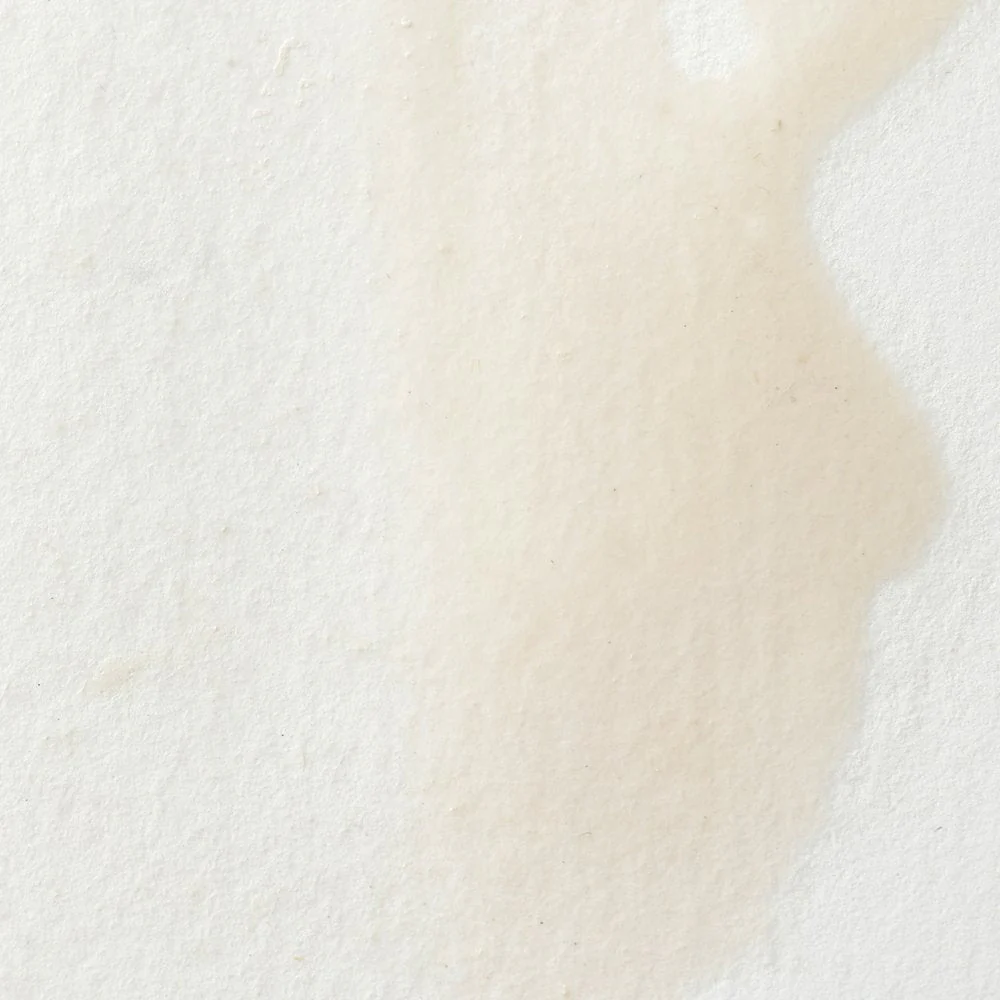 Professional Watercolour – Chinese White