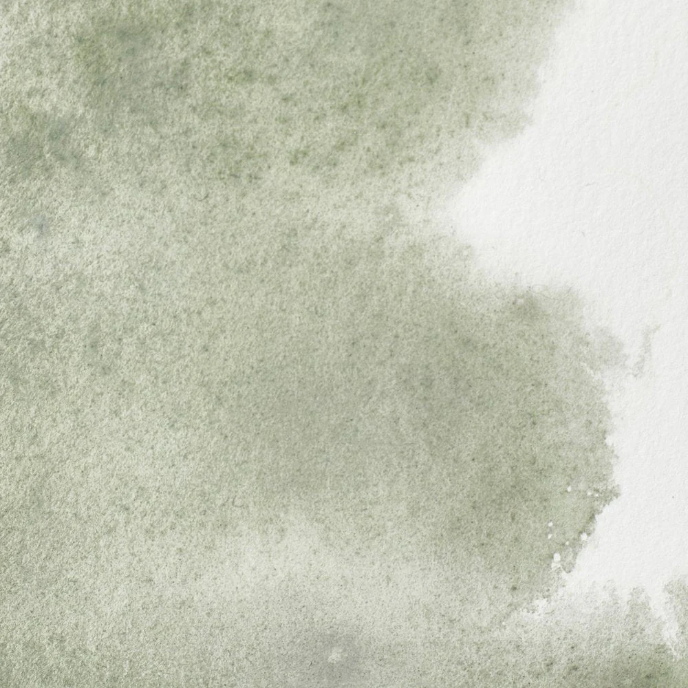 Professional Watercolour – Davy’s Gray
