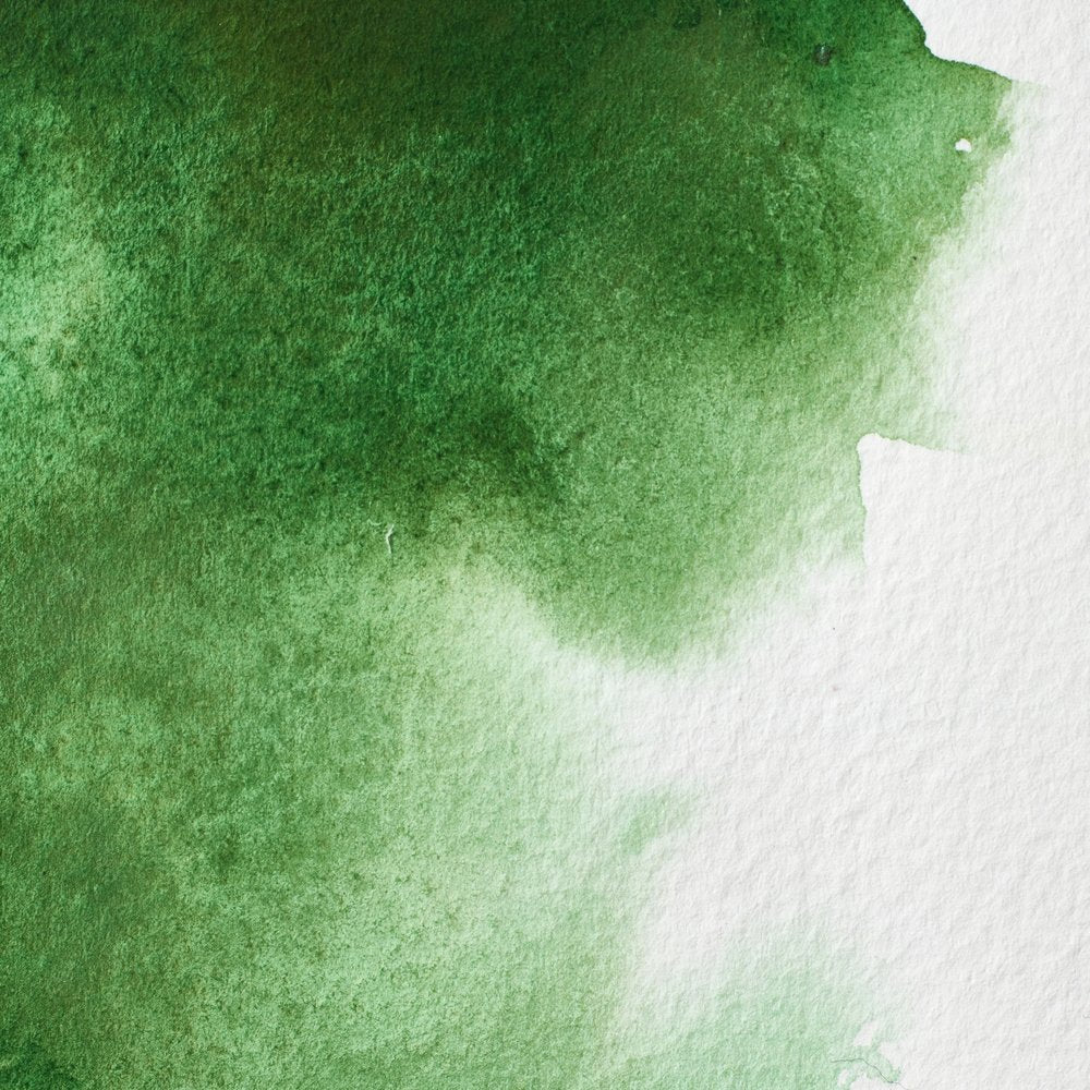 Professional Watercolour – Hooker’s Green