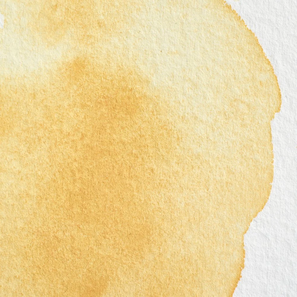 Professional Watercolour – Naples Yellow