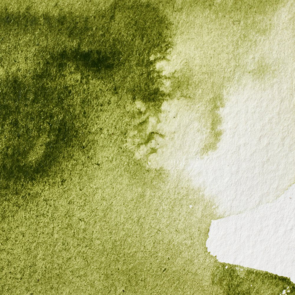 Professional Watercolour – Olive Green