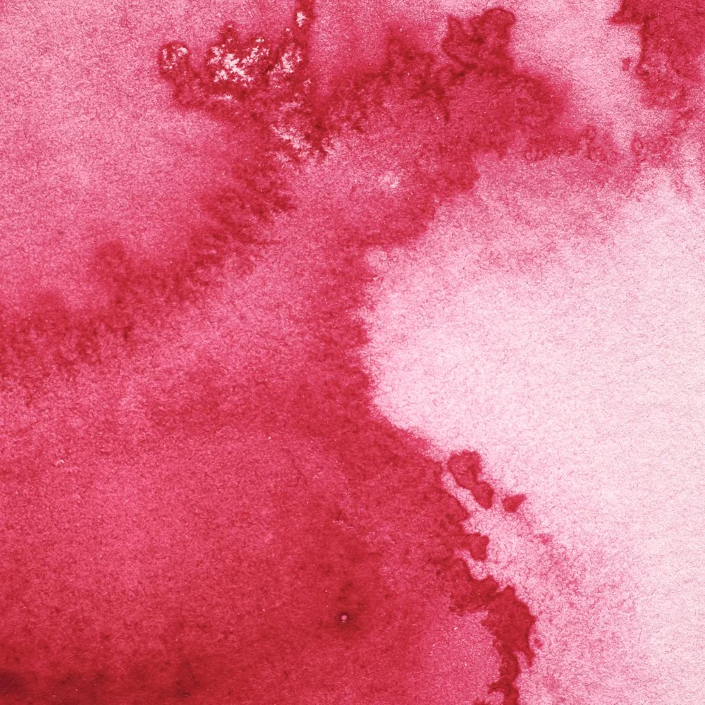 Professional Watercolour – Permanent Rose