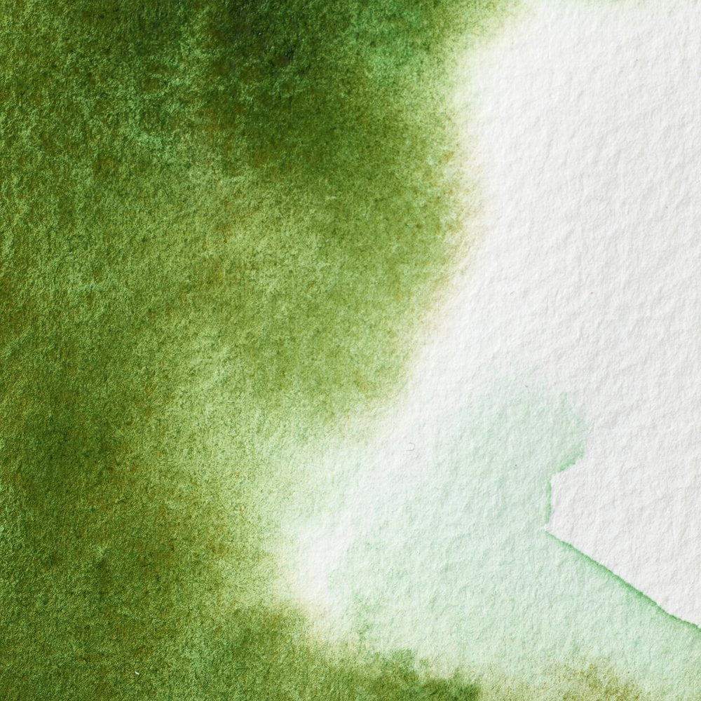 Professional Watercolour – Permanent Sap Green