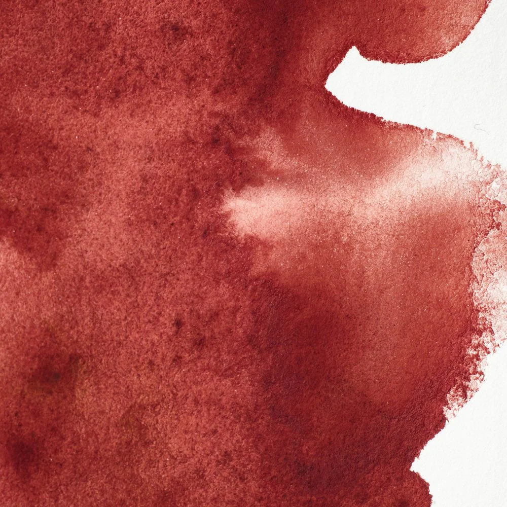 Professional Watercolour – Perylene Maroon