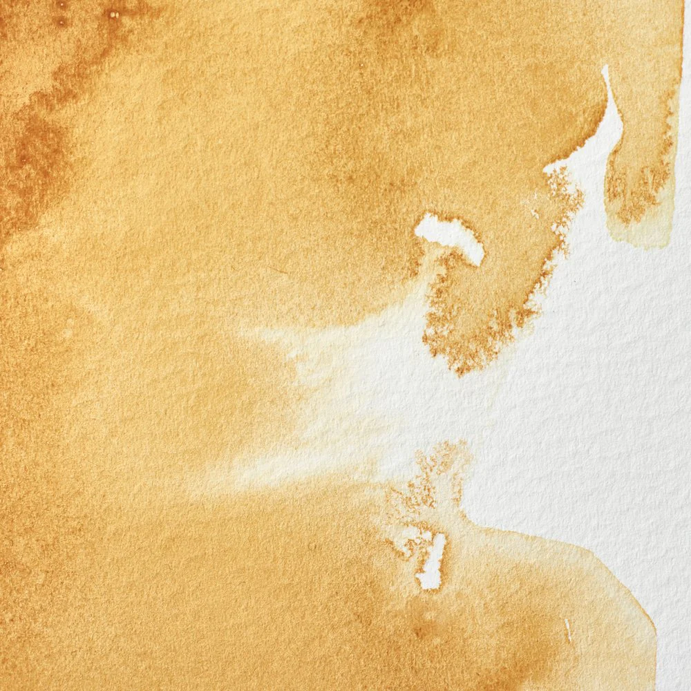 Professional Watercolour – Raw Sienna