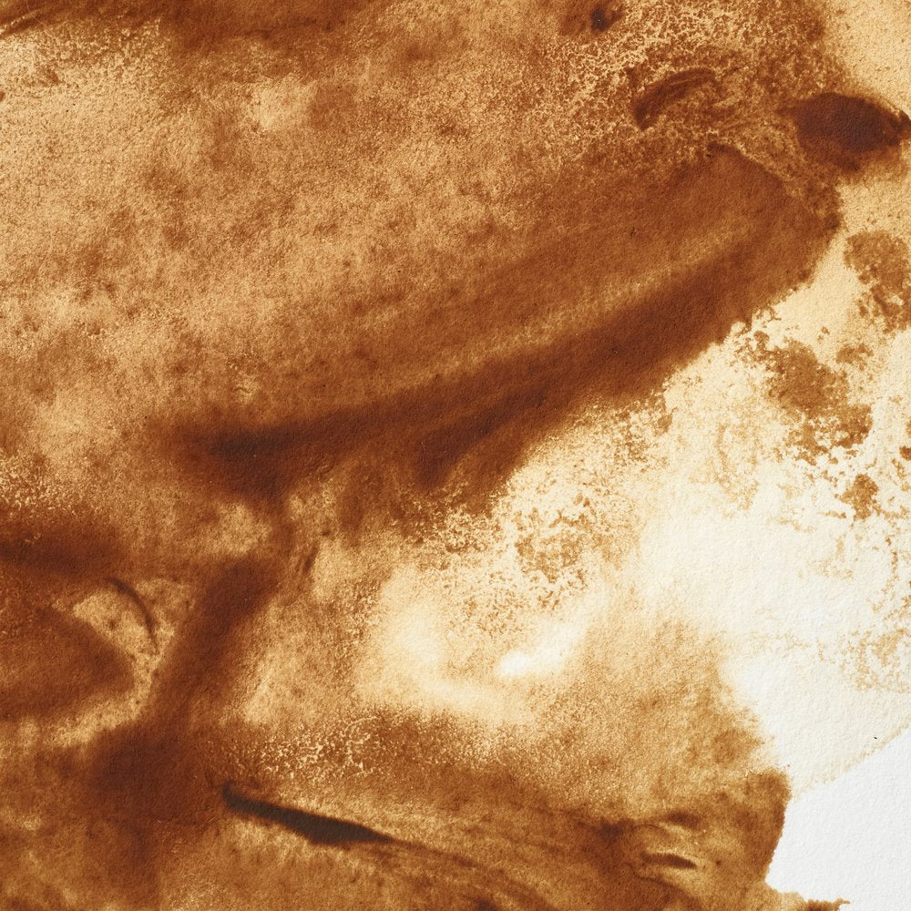 Professional Watercolour – Raw Umber