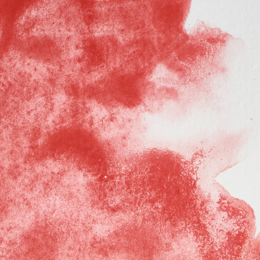 Professional Watercolour – Rose Dore