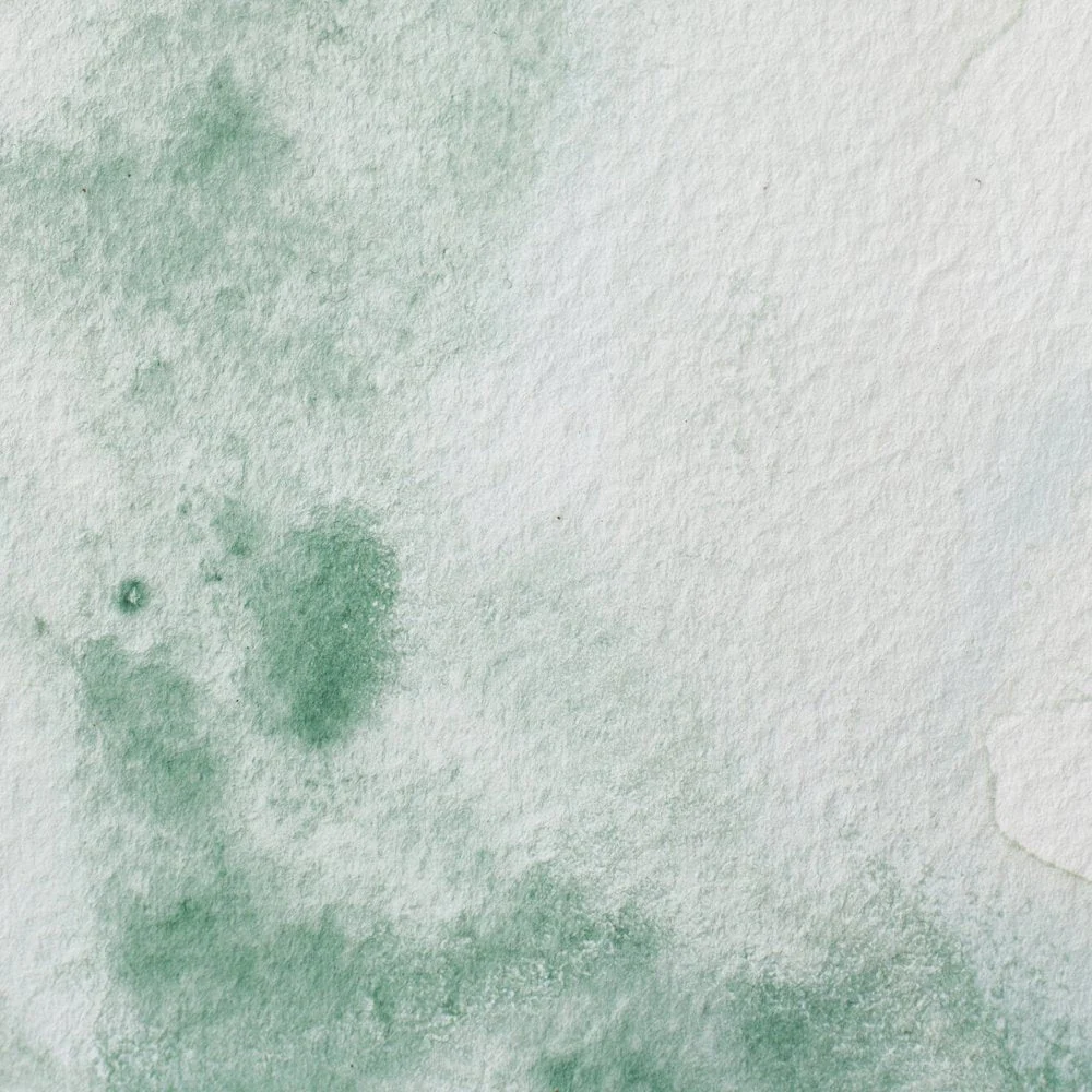 Professional Watercolour – Terre Verte