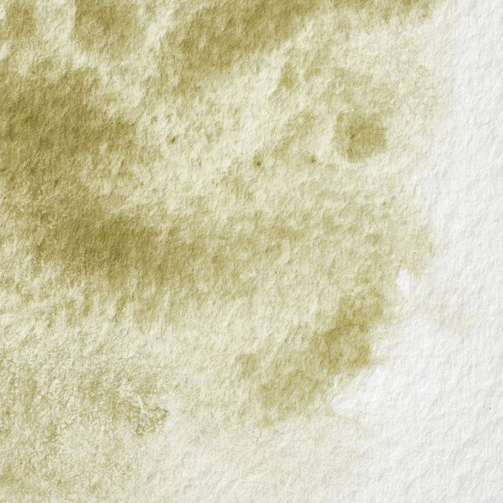 Professional Watercolour – Terre Verte (Yellow Shade)