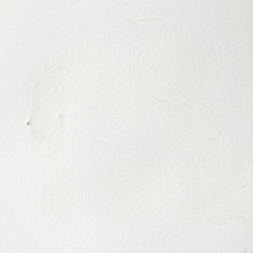 Professional Watercolour – Titanium White (Opaque White)