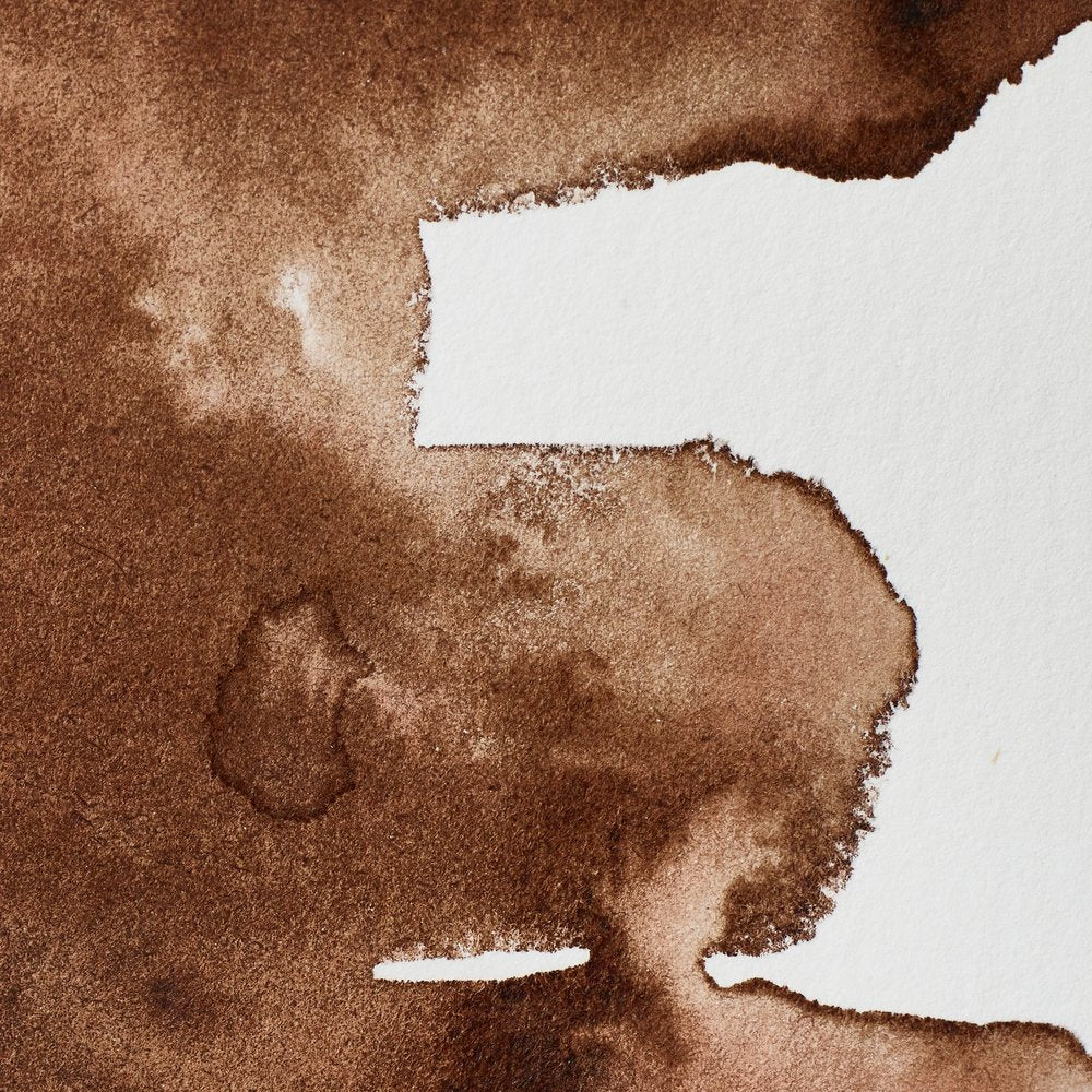 Professional Watercolour – Vandyke Brown