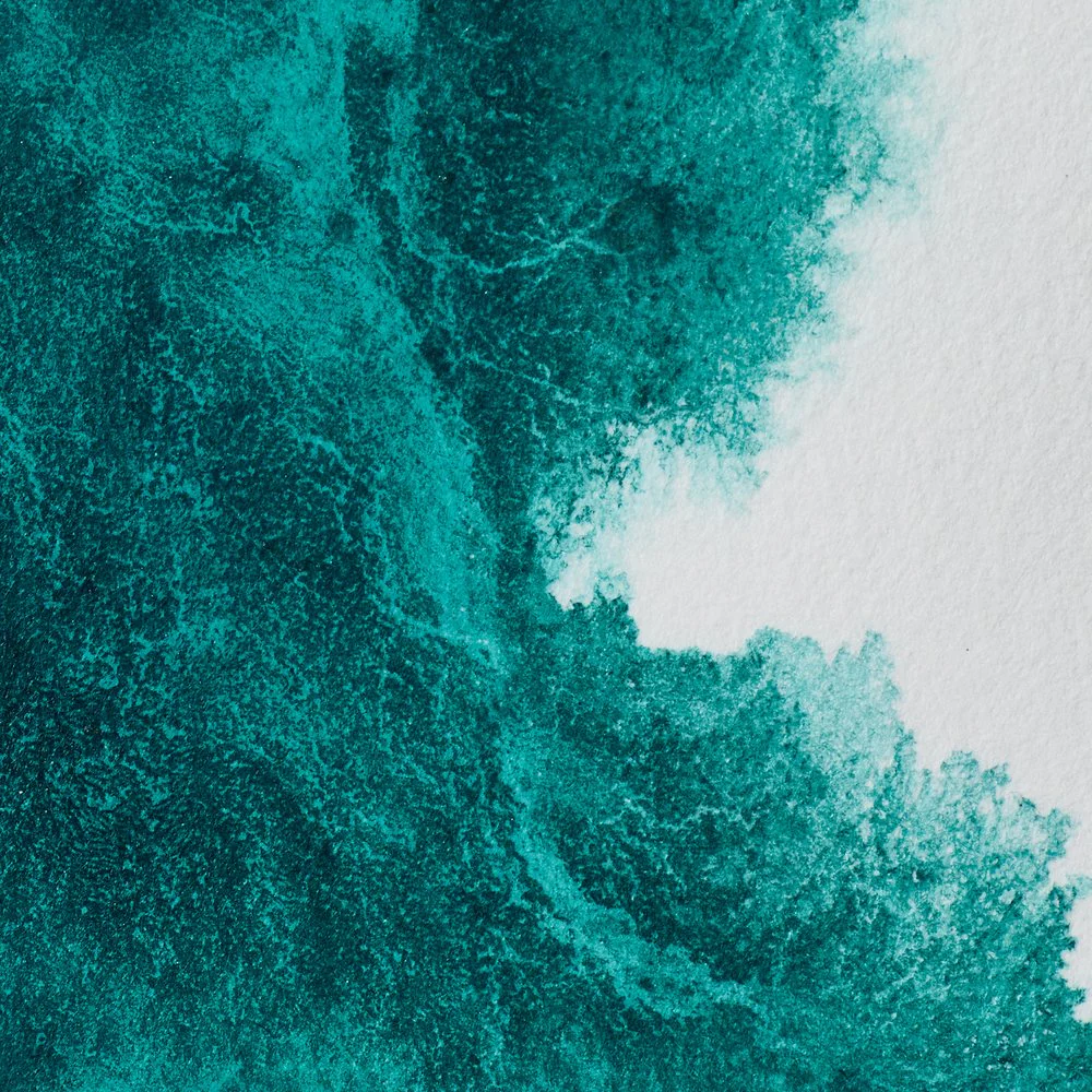 Professional Watercolour – Winsor Green (Blue Shade)