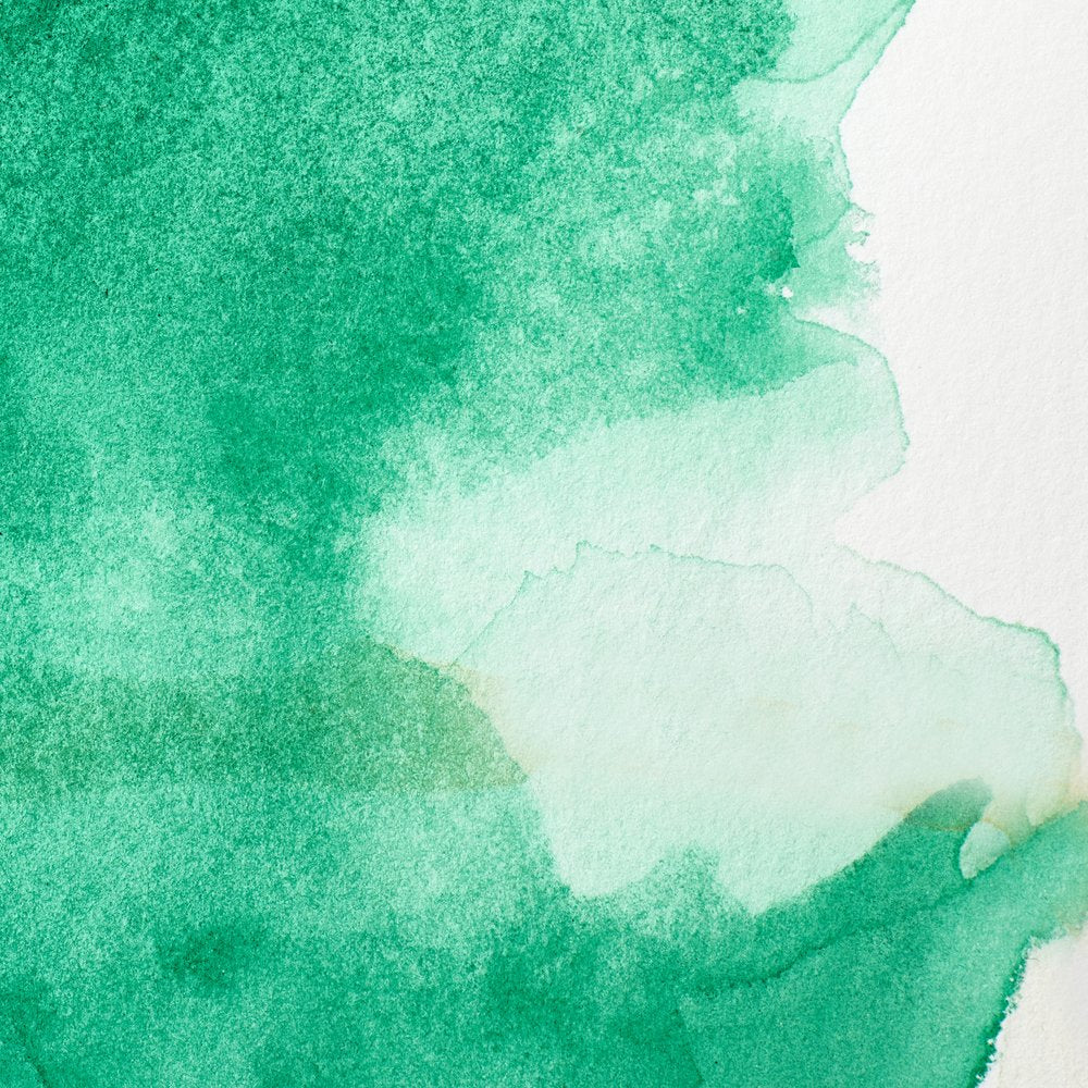 Professional Watercolour – Winsor Green (Yellow shade)