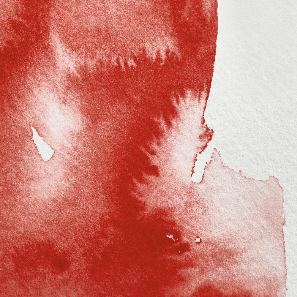 Professional Watercolour – Winsor Red