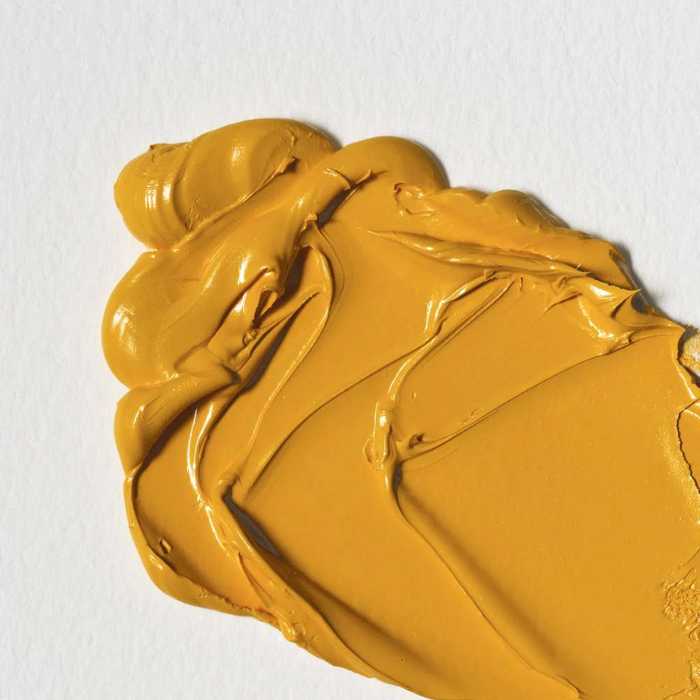 Winton Oil Colour – Cadmium Yellow Medium