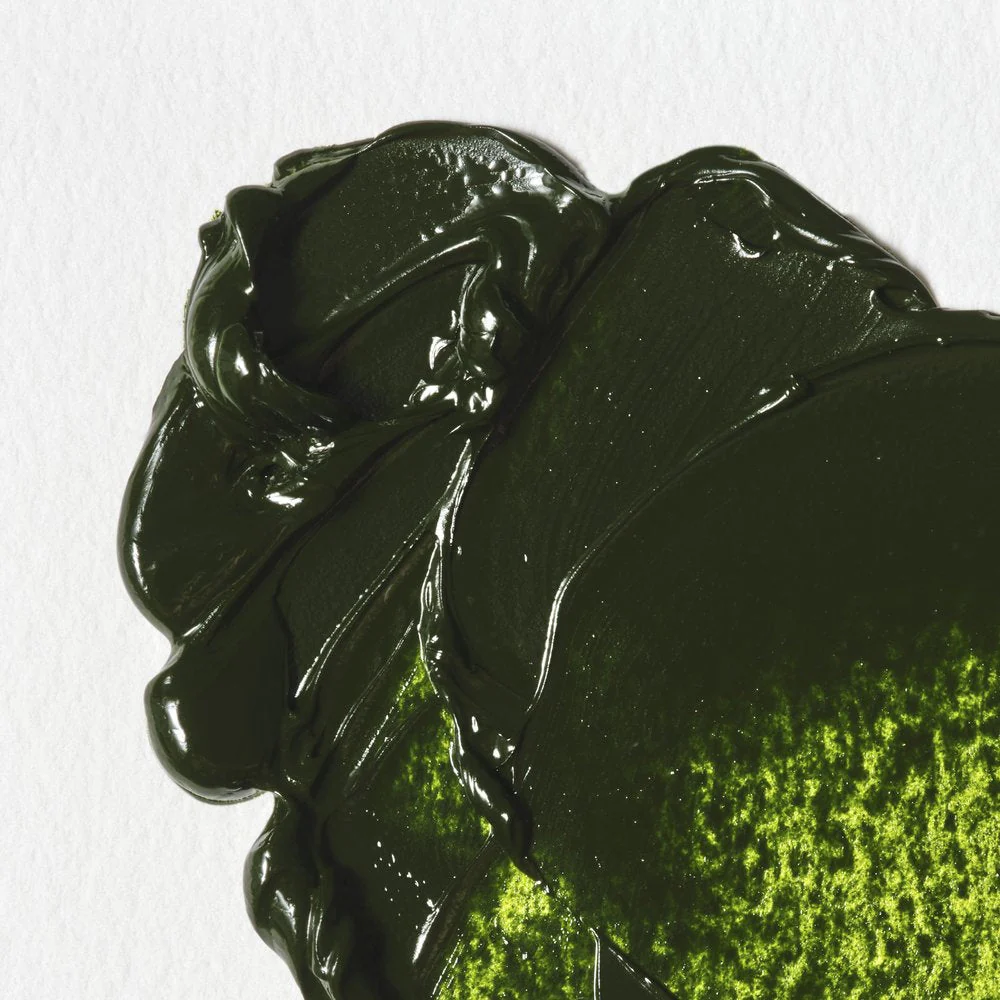 Winton Oil Colour – Sap Green