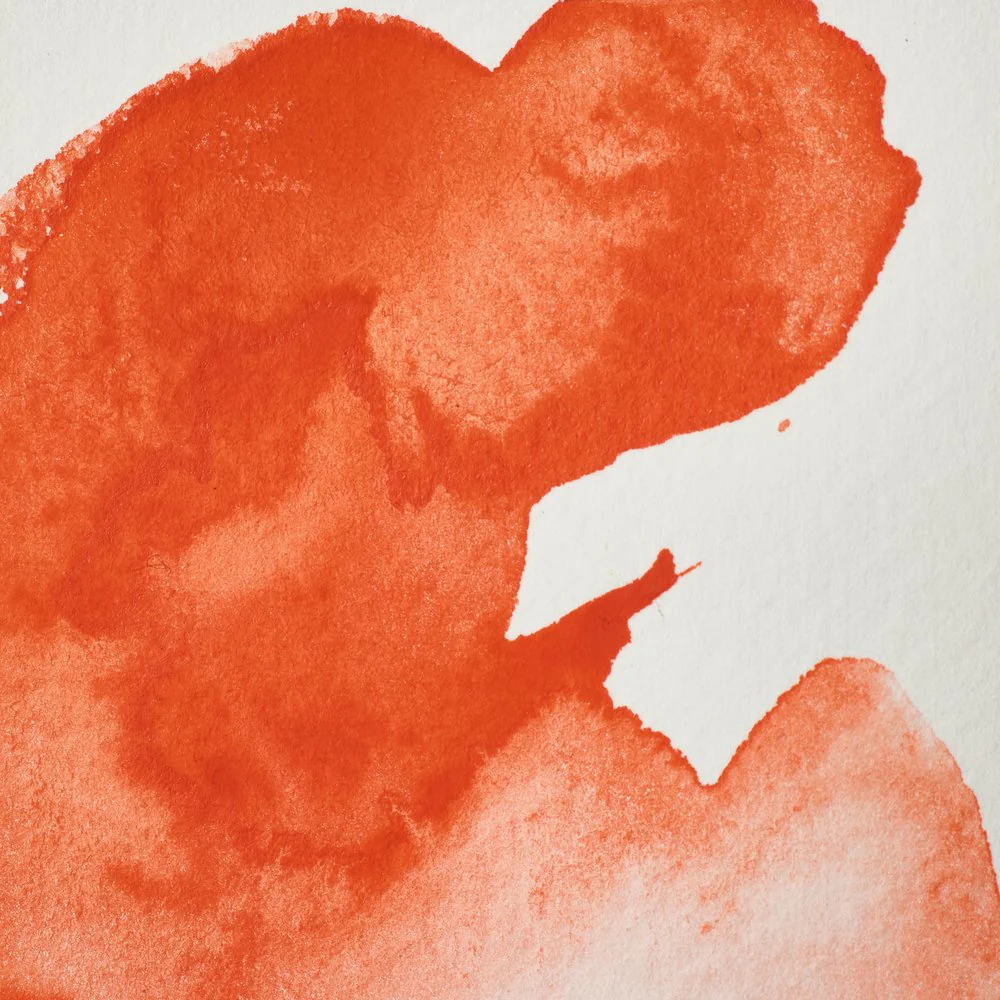 Professional Watercolour – Field’s Orange