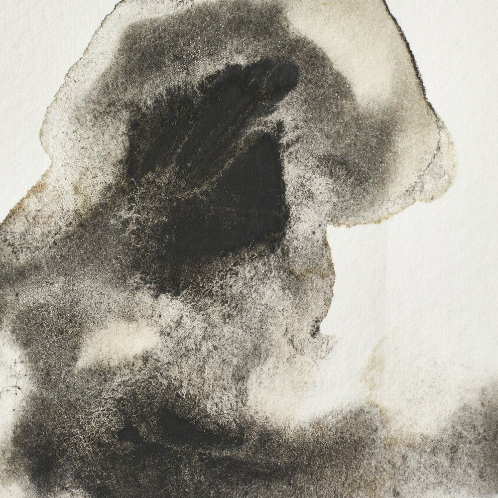 Professional Watercolour – Ostwald Grey