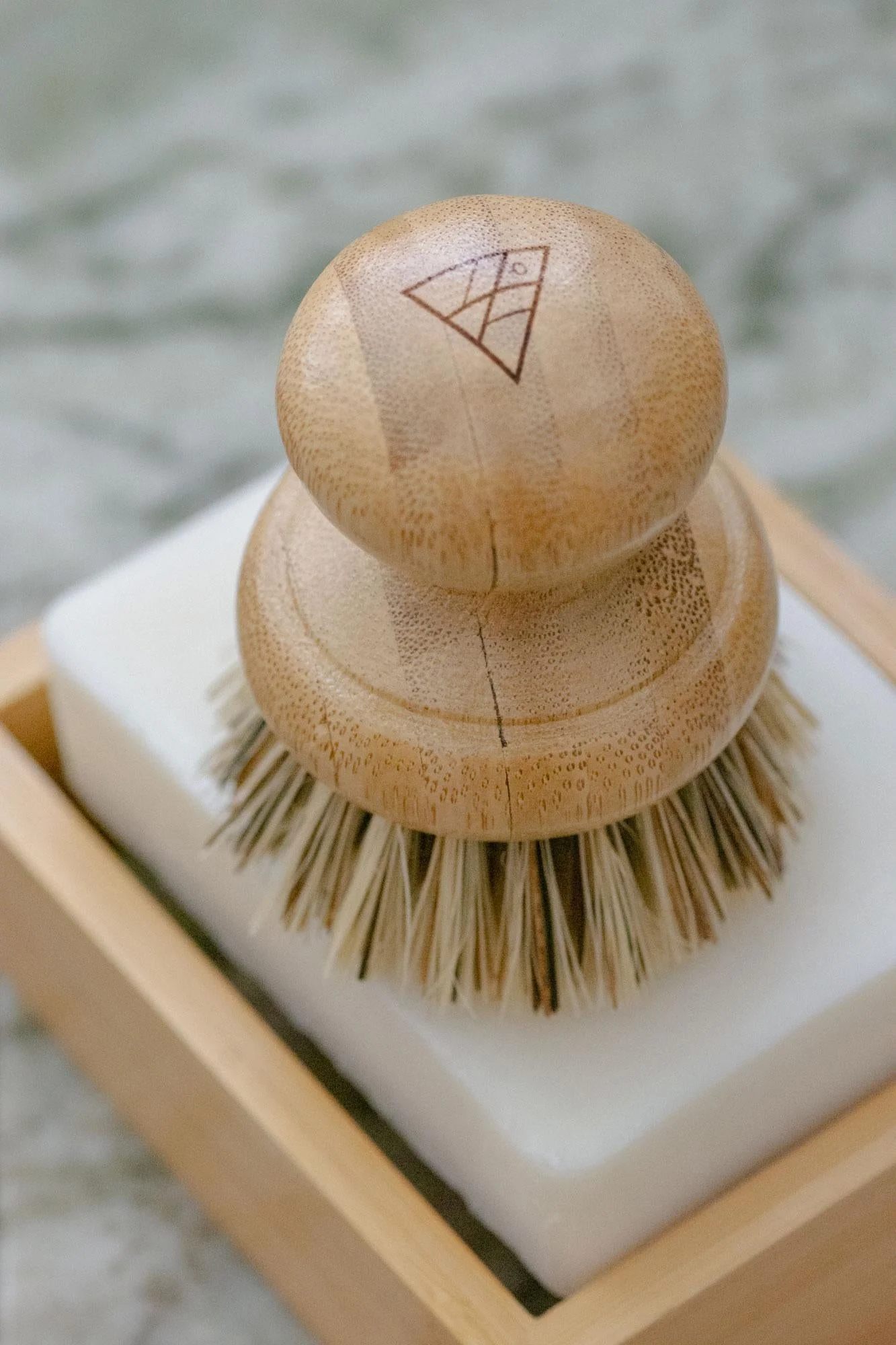 CASA AGAVE® Pot Brush – No Tox Life®
