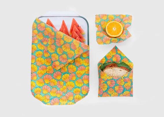 Beeswax Food Wrap – Sunrise Shell Print