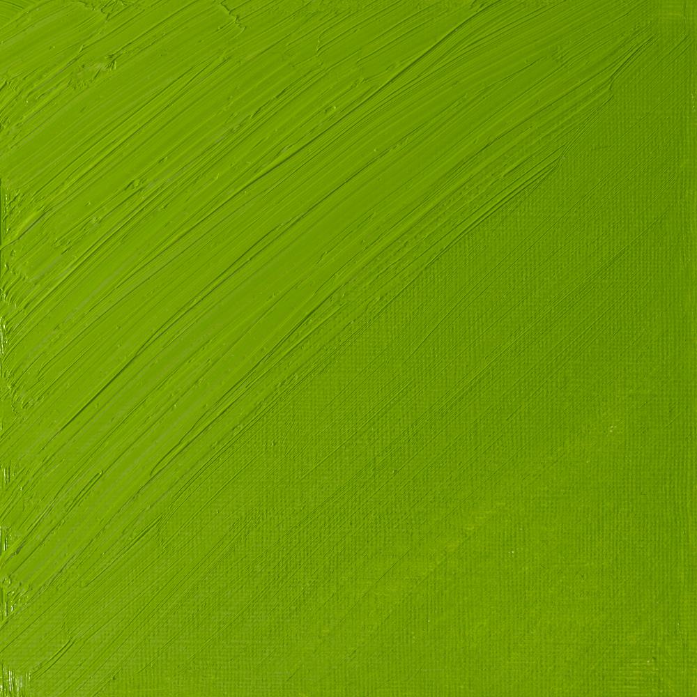 Artists’ Oil Colour – Cadmium Green Pale