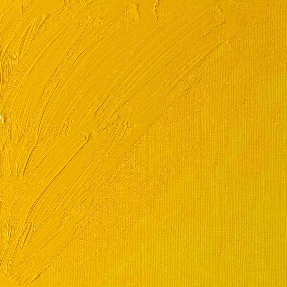 Artists’ Oil Colour – Chrome Yellow Hue