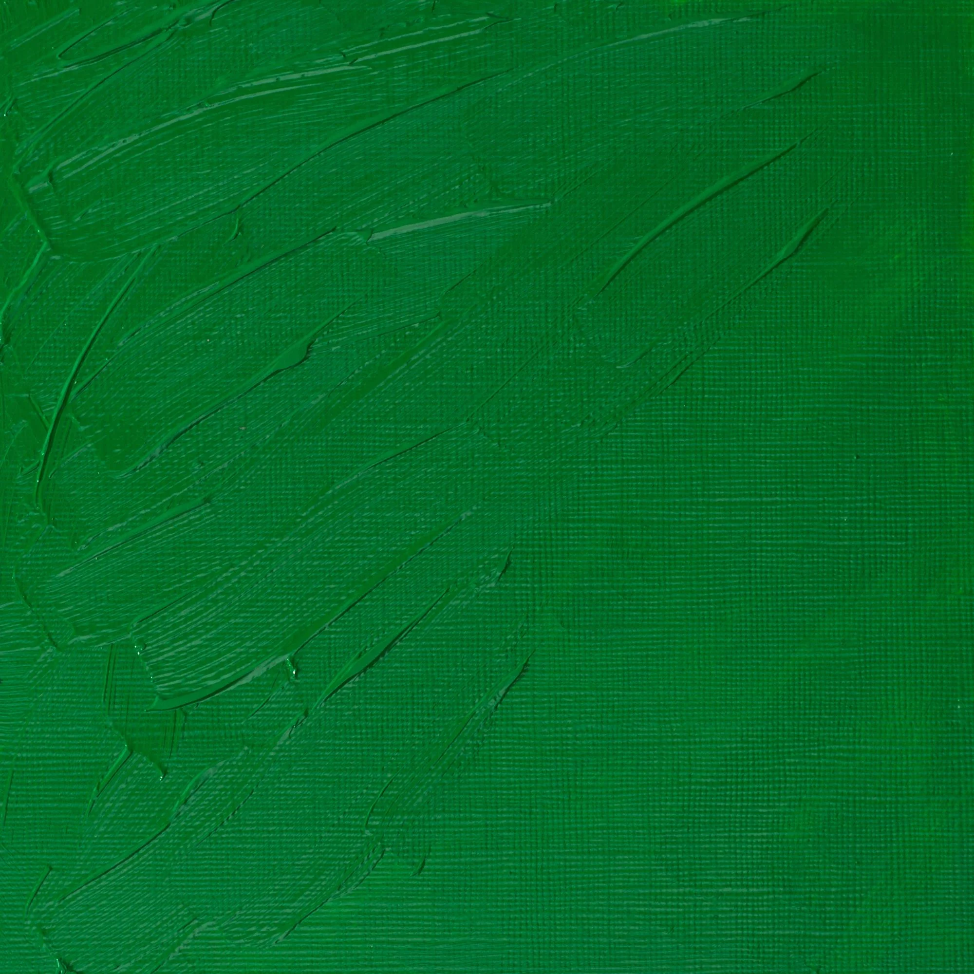Artists’ Oil Colour – Permanent Green Light
