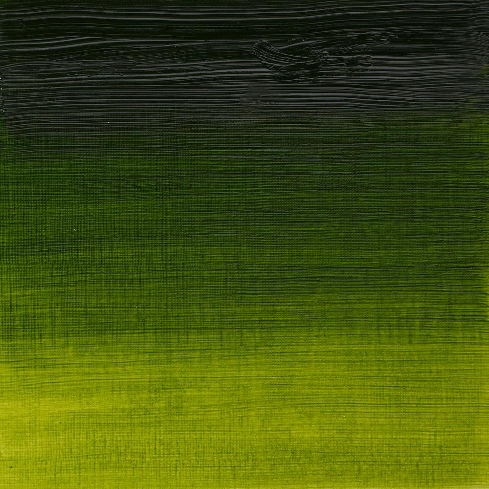 Artists’ Oil Colour – Sap Green