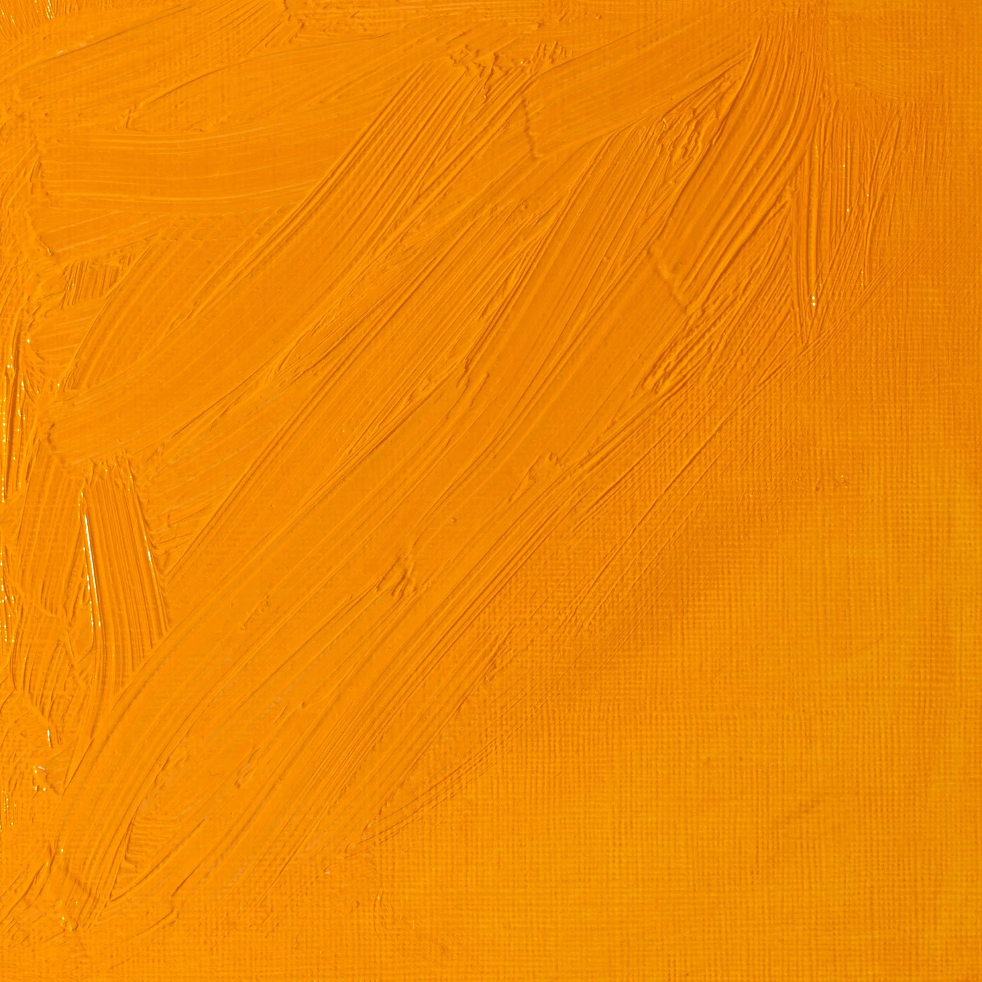 Artists’ Oil Colour – Winsor Yellow Deep