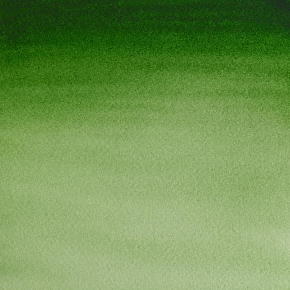 Cotman Watercolour – Hooker’s Green Light