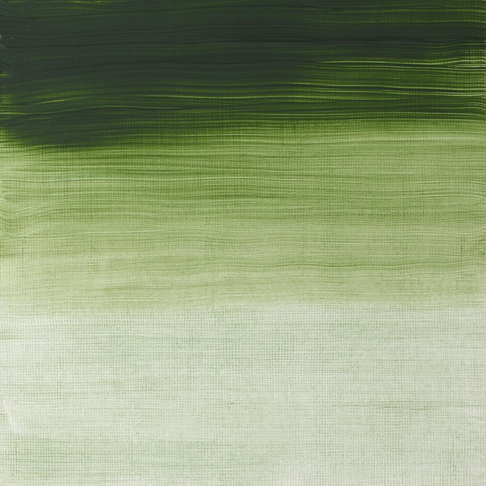 Griffin Alkyd Fast Drying Oil Colour – Terre Verte