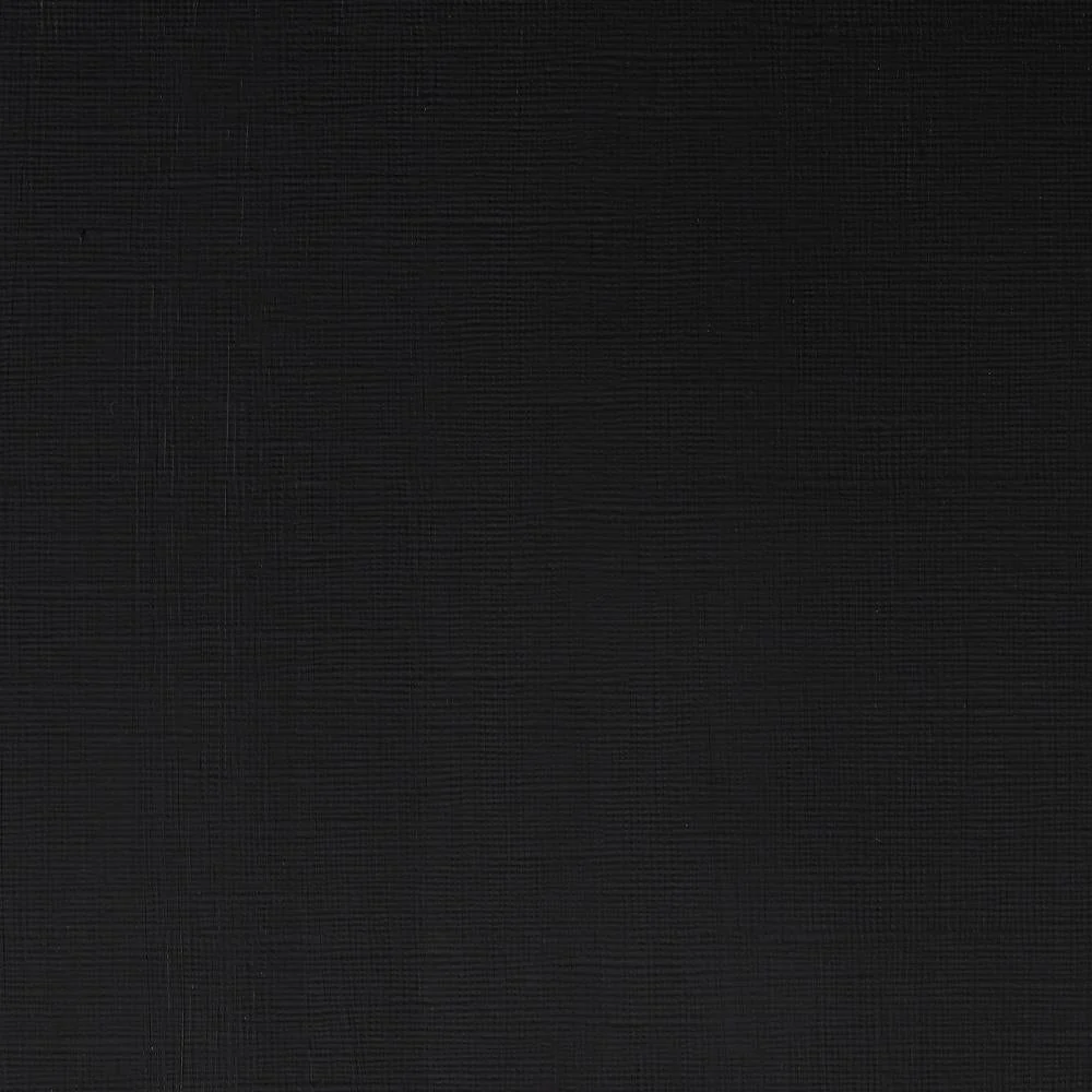 Professional Acrylic – Ivory Black