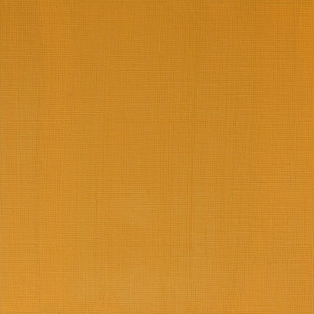 Professional Acrylic – Naples Yellow Deep