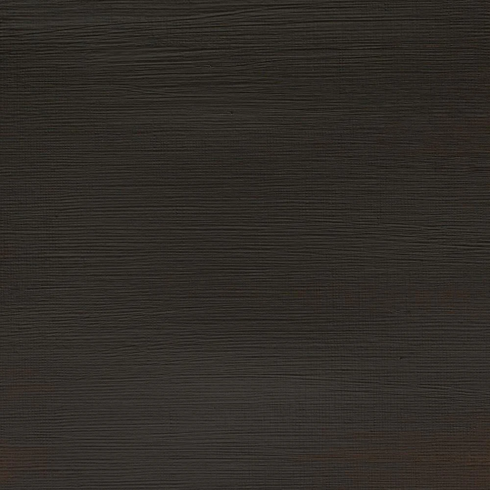 Professional Acrylic – Raw Umber