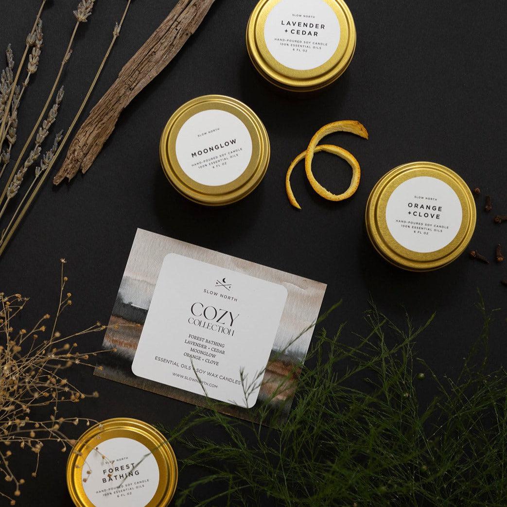 Cozy Collection – 4 Pack