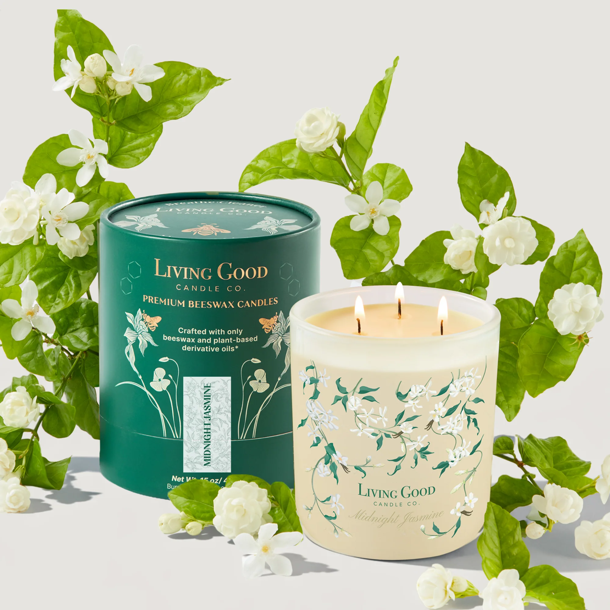 MIDNIGHT JASMINE