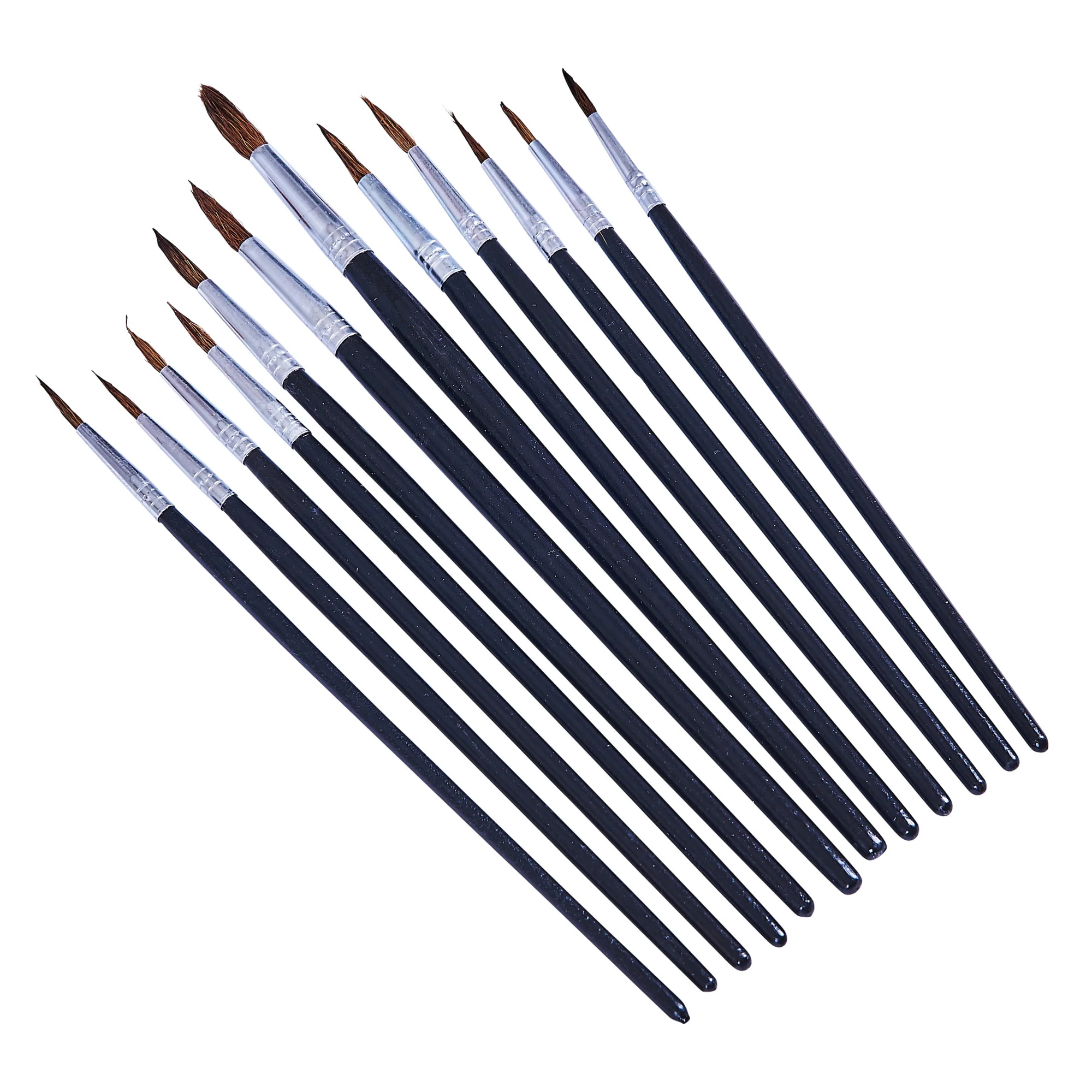 12 Piece Fine Pointed Tip Art Brush Set