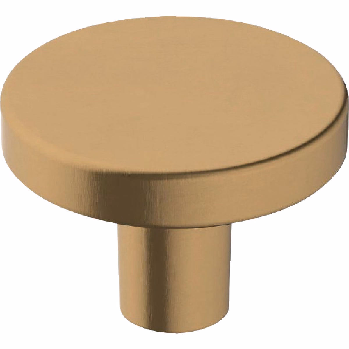 Amerock Versa 1.375 In. Dia. Round Champagne Bronze Cabinet Knob (6-Pack)