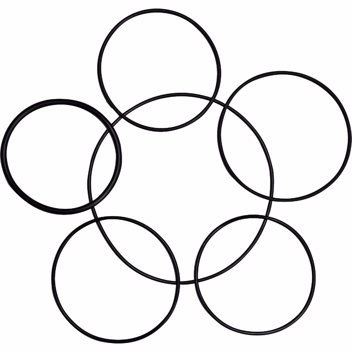 Danco Large O-Ring Assortment Kit